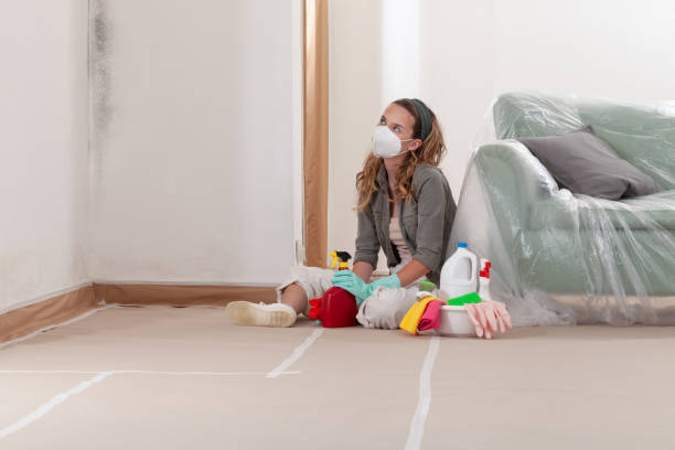 Reliable Mold Remediation contractor in Hampstead, MD by 24 Hour Mold Removal